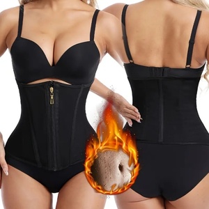 Européenne Américaine Postpartum Belly Band Contrôle Ferme Cross-Border Sports Corset Waist Trainer Mesh Material Waist Belt Shapewear - Product Image 2