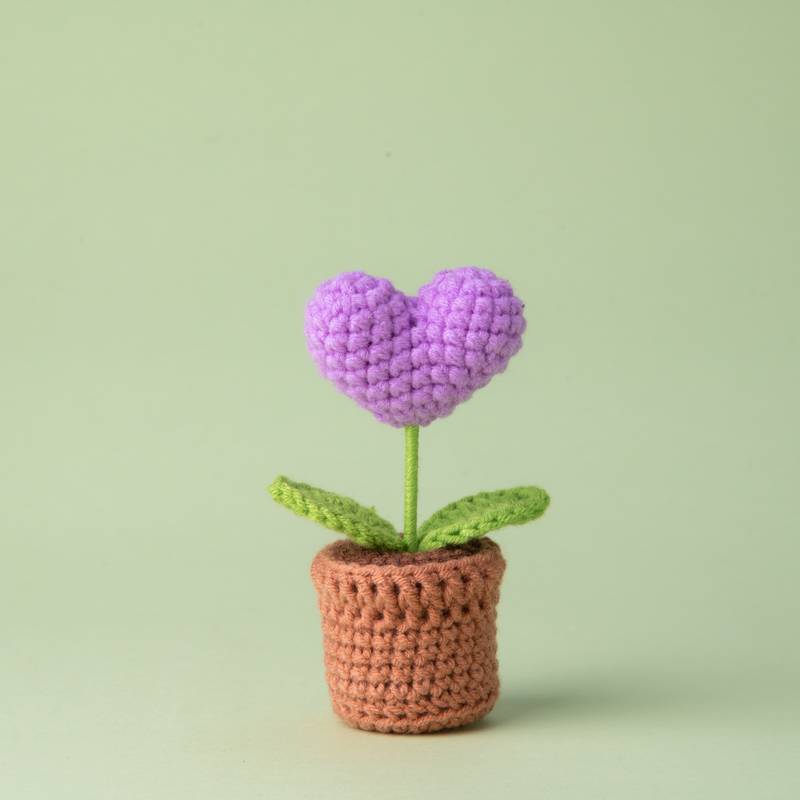 Mini heart-shaped purple potted plant