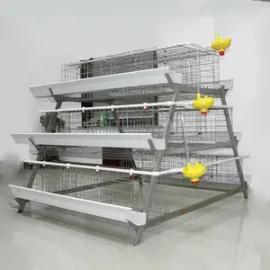 Élevage automatique de volaille, système de hangar moderne, Cage de batterie à œufs de Type A, couche de poulet