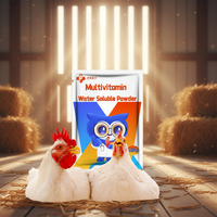 Booster de croissance rapide et de gain de poids Booster de vitamine Poulets Additifs alimentaires pour poulets Booster