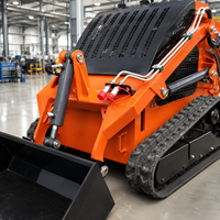Livraison Gratuite Porte-à-Porte : Mini-chargeuse compacte agricole hydraulique diesel