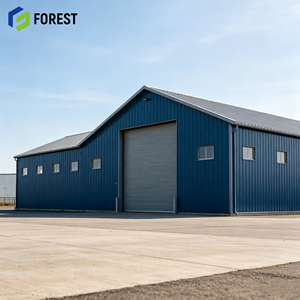 Edificio de Almacenamiento Modular de Acero Pre-fabricado de Grado Industrial, Nave Industrial Comercial de Gran Resistencia con Techo Transparente - Product Image 1