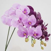 Fleurs d'orchidée Phalaenopsis artificielles de haute qualité, toucher réaliste, matériau en latex, décoration de salon, décoration de la maison, remise de diplôme, Pâques