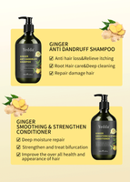 Hotel menggunakan target rambut rontok organik anti-ketombe nutrisi 500ml Set sampo jahe untuk pertumbuhan rambut