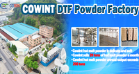 Cowint poudre de transfert de chaleur thermofusible en polyuréthane blanc de haute qualité DTF Cowint pour l'impression Dtf
