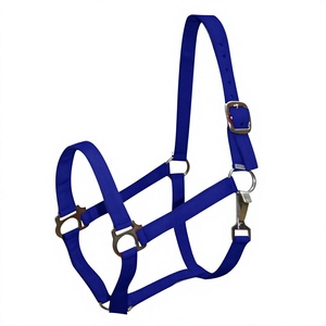 Harnais en cuir pour cheval avec boucles et anneaux métalliques pour usage équestre - Product Image 1