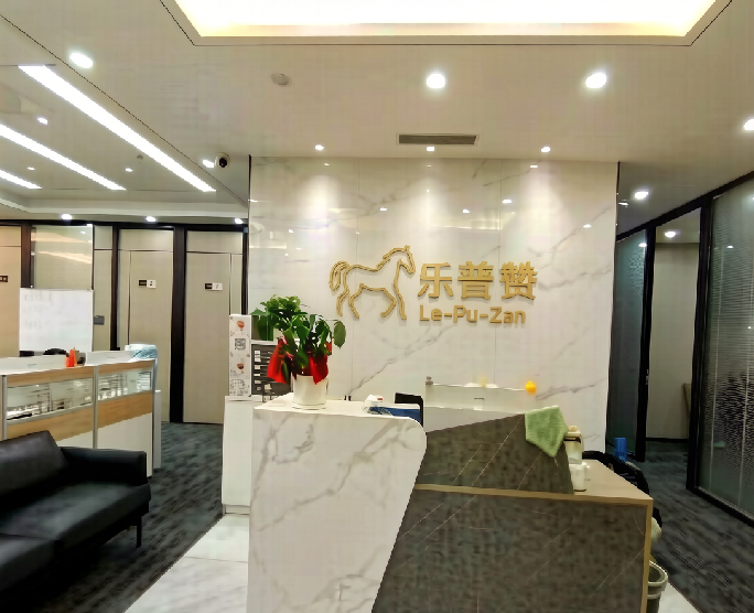 Shenzhen Leapson Trading Co., Ltd. logo