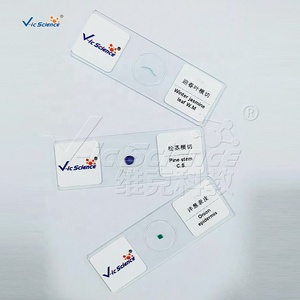 Portaobjetos de Botánica, Portaobjetos de Biología, Portaobjetos de <span class=keywords><strong>Microscopio</strong></span> de Botánica, Epidermis de Bulbo de <span class=keywords><strong>Cebolla</strong></span> - Product Image 5