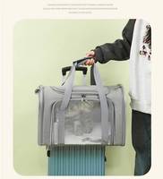 Vente en gros de boîte de transport durable portable et portable pour animaux de compagnie, approuvée par les compagnies aériennes