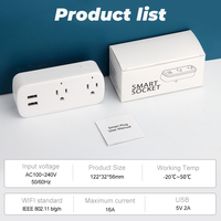 SMATRUL kablosuz uzaktan ses adaptörü şarj portu zamanlayıcı Google ev Alexa 16A abd Plug Tuya Wifi akıllı Usb soket