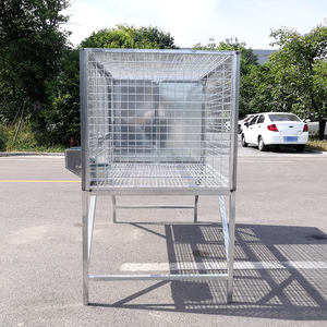 Fabrika ucuz özel Modern dikdörtgen ahşap Pet House katı desen dayanıklı açık köpek kedi kafesi rüzgar geçirmez plastik tepsi palet - Product Image 5