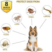 Collier anti-puces et anti-tiques pour animaux de compagnie, en caoutchouc imperméable, solide, simple, protection haute efficacité pendant 8 mois