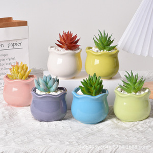 Maceta de pared creativa con diseño de macaron, transpirable, luminosa, estilo pastoral fresco, <span class=keywords><strong>para</strong></span> <span class=keywords><strong>cactus</strong></span> <span class=keywords><strong>y</strong></span> <span class=keywords><strong>suculentas</strong></span> - Product Image 3