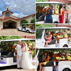 Auto Clásico Eléctrico de Turismo al Mejor Precio, Diseño Retro, Especial para Turismo Panorámico y Eventos de Boda - Product Image 5