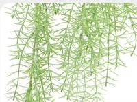 Feuilles Artificielles Haut de Gamme Vertes Luxe Mur Végétal Résistant aux UV Vente en Gros Écologique Toucher Naturel Mini Plantes Décoratives pour la Maison