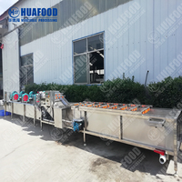 Industriële Spinazie Sla Kool Fruit En Salade Bladgroenten Verwerking Wassen En Salade Productielijn