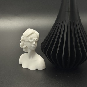 Estatua de Busto de Mujer Impresa en 3D de Alta Calidad, Personalizada OEM, Marca WANCAI, Regalos de Arte para Interiores y Exteriores, Modelo Preconstruido para Aficionados, Edades 8+ - Product Image 3