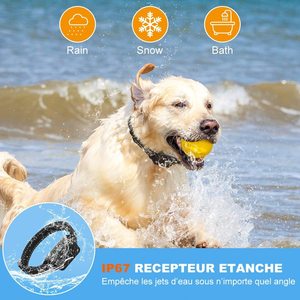 Collar de Adiestramiento para Perros Jichengxun PB60, Dispositivo Antiladridos con Vibración y Descarga Eléctrica - Product Image 5