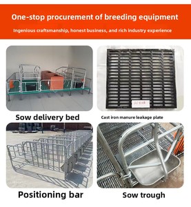 Équipement d'élevage pour porcs : Étables <span class=keywords><strong>de</strong></span> gestation à structure renforcée avec barrières <span class=keywords><strong>de</strong></span> limitation, pour l'élevage au sol - Product Image 4