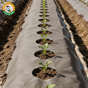 Toile de paillage durable Garden Bee pour le contrôle des adventices, film agricole biodégradable en papier pour la croissance des plantes - Product Image 2