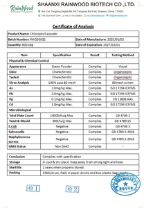 ผงคลอโรฟิลล์มัลเบอร์รี่คลอโรฟิลล์ผงผลิตตามสั่ง - Product Image 2