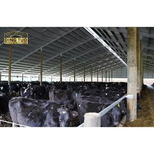 Vorgefertigte Stahlkonstruktion-Tierställe für Schafe, Rinder, Schweine und Ziegen in der Landwirtschaft - Product Image 4