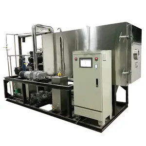 Commercial Strawberry 15kg/24hour Lyophilizer Laboratory Vacuum Freeze Dryer Coffee Process