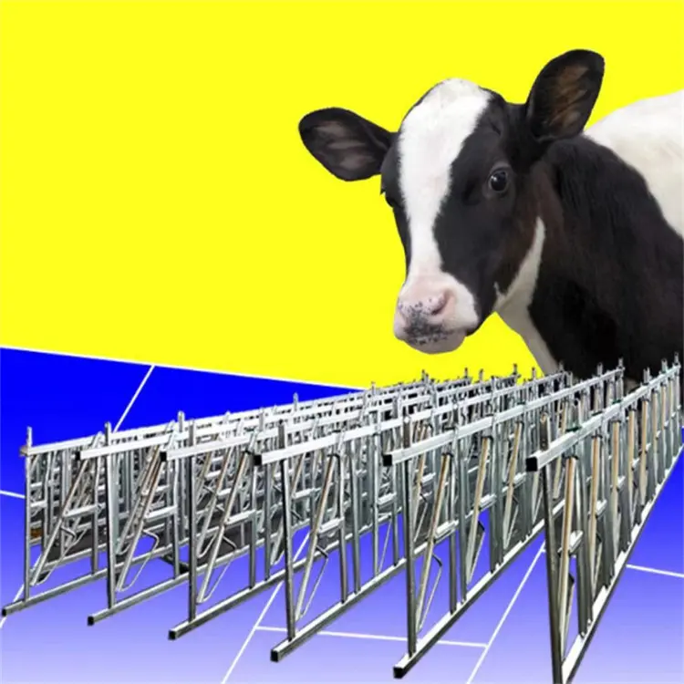 Automatico cantiere di bestiame Headlock caseificio di alta qualità cortile mucca Headlock per la vendita dalla cina fabbricazione