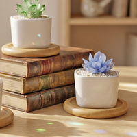 Figurine de plante succulente en verre de Murano soufflé à la main, mignonne, pour cadeau d'inauguration de maison ou décoration de bureau