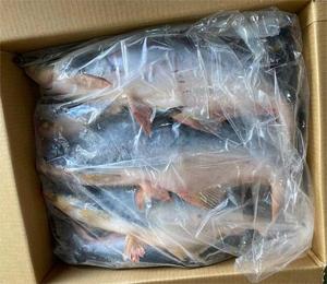 Pangasius congelado de alta calidad, pescado entero de Vietnam, Malasia, exportado de China, cumple con altos estándares - Product Image 2
