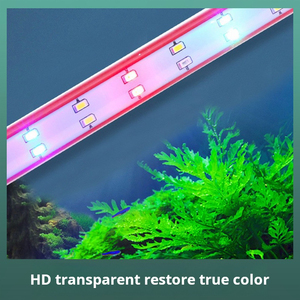 <span class=keywords><strong>Lampe</strong></span> d'aquarium à LED pour réservoir de poissons Arowana Spectre en verre durable à changement de couleur étanche et adapté à la chambre à coucher/au salon - Product Image 6