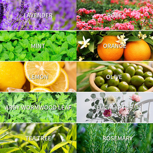 Superventas 100% puro natural orgánico lavanda limón menta té árbol Rosa naranja aceite esencial - Product Image 3