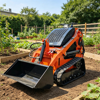 Mini-chargeuse sur chenilles diesel pour extérieur et ferme, 200kg, 300kg, 600kg, livraison gratuite, à vendre