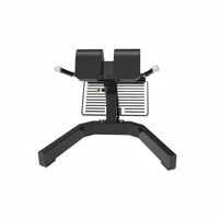 Banc d'hyperextension commercial, chaise romaine de musculation pour le dos, les fessiers et les ischio-jambiers