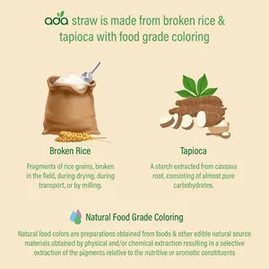 Tapioca de arroz ecológico, 100% Biodegradable, paja Sip corta, todo desechable Natural (ADA Biotech) 7,5mm