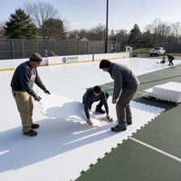 Planche de glace synthétique UHMWPE facile à installer, surface lisse de 20 mm, patinoires artificielles HDPE de petite taille