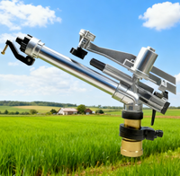 Canon d'arrosage robuste de 2 pouces à bras oscillant pour l'irrigation agricole de grandes surfaces