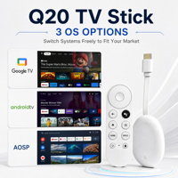 Q20 Smart Stick H618 Android 12 2GB 16GB 4K Quad Core Dual WIFI6 BT 5.0 Lecteur TV Compact Dolby Lemon OEM ODM Logo 1 pièce MOQ