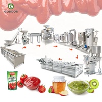 Ligne de production complète et entièrement automatique de mini-usine de transformation de tomates 100 kg/h pour la fabrication de purée de tomates