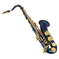 Bb Tenor Saxophone Brass Body Lacquered Finish Blue with Gold Keys B Flat Woodwind Musical Instrument for Band Stage Performance