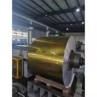 Livraison Rapide Couleur Personnalisée OEM Imprimé Bobine TFS ECCS Feuille Sans Étain 0.16mm-0.23mm Dureté T2.5-T4 Couvercle d'Extrémité de Canette de Boisson Shandong