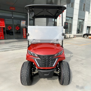 Carrito de Golf Eléctrico para 2 Personas, el Más Vendido, para Campos de Golf y Clubes, con Servicio de Larga Duración, Vehículo Eléctrico, Fabricación OEM - Product Image 2