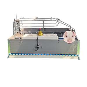 Jaulas de Paridera Tipo Europeo Duraderas con Comederos para Cerdos - Product Image 6