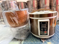 Intelligente Automatische Zwarte Knoflook Fermenter Industriële Kwaliteit Fruit- en Groenteverwerkingsapparatuur