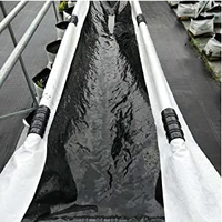 Film de paillage agricole noir et blanc réfléchissant, occultant et imperméable pour fraises, en plastique moulé par soufflage, découpe sur mesure