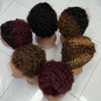 Wig Pixie Curly 13x4 Lace Frontal Wig Potongan Pendek Rambut Gelombang Air Brasil 100% Rambut Asli Manusia Grosir