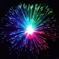 Vente flash : Lampe à fibres optiques LED en forme de fleur, lumière colorée pour les fournitures de fête néon