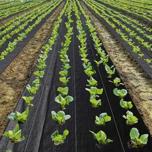 Сельскохозяйственный черный коврик для сорняков садовая Ландшафтная ткань пластиковая сетка для защиты от сорняков