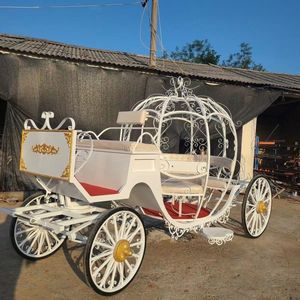 Venta de Autobús Turístico HKBG Retro Estilo Europeo con Diseño de Calabaza y Caballos, Velocidad de 30 km/h, Color Personalizado, Gran Éxito de Ventas - Product Image 6