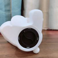 Matériel vinyle DIY pour modèle d'ours Bouquet de fleurs blanches de Noël 17 cm, utilisable comme tirelire, ours artistique pour graffiti fluide